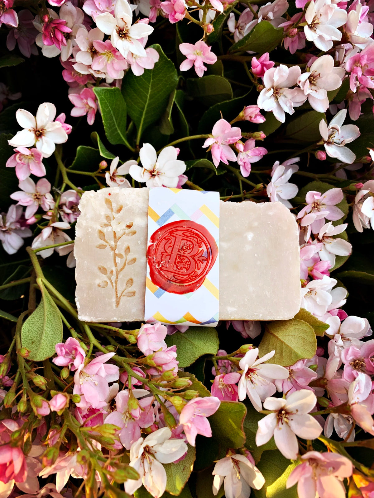 Island Plumeria and sea salt bar soap