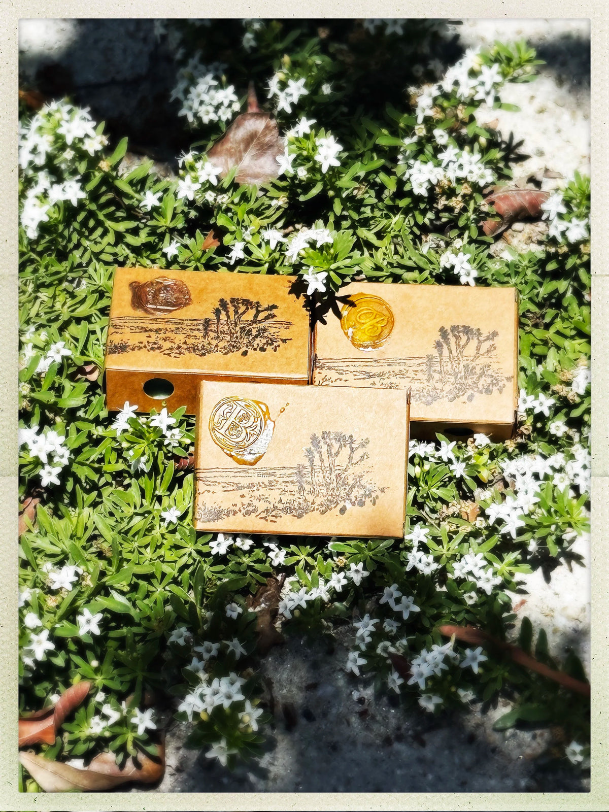 Sage Blossom geranium, sage and lime bar soap, view 3