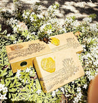 Sage Blossom geranium, sage and lime bar soap, view 2