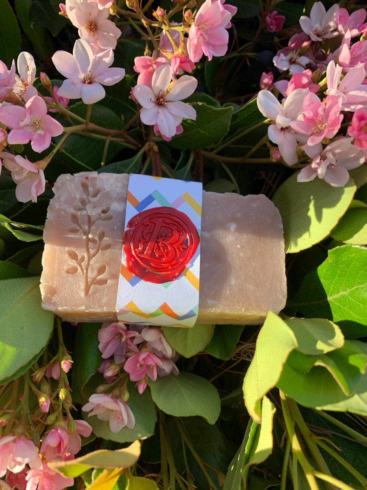 Island Plumeria and sea salt bar soap, view 2
