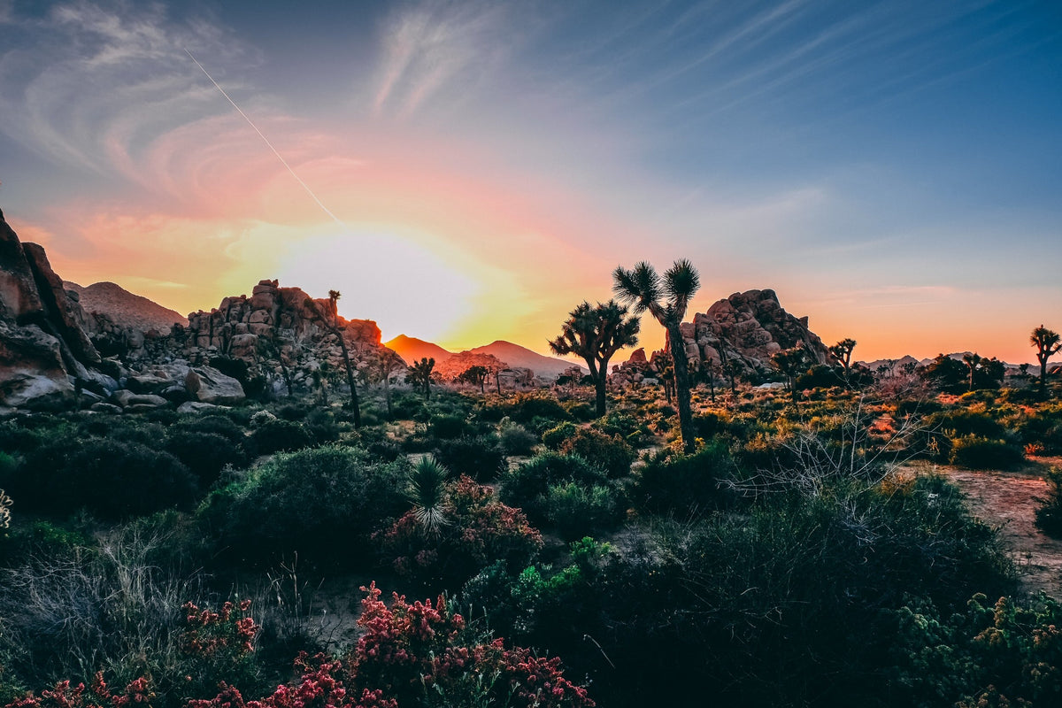 J.D. Bauer Botanicals homepage image