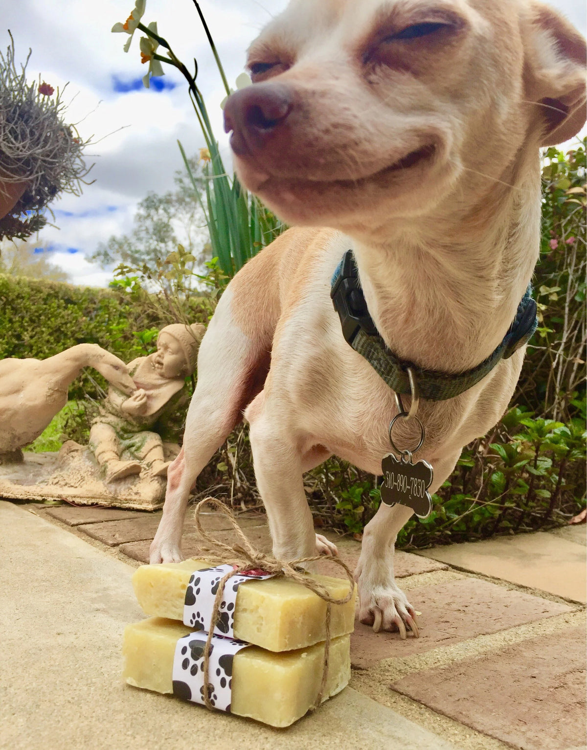 Haute Dowg natural dog shampoo bar