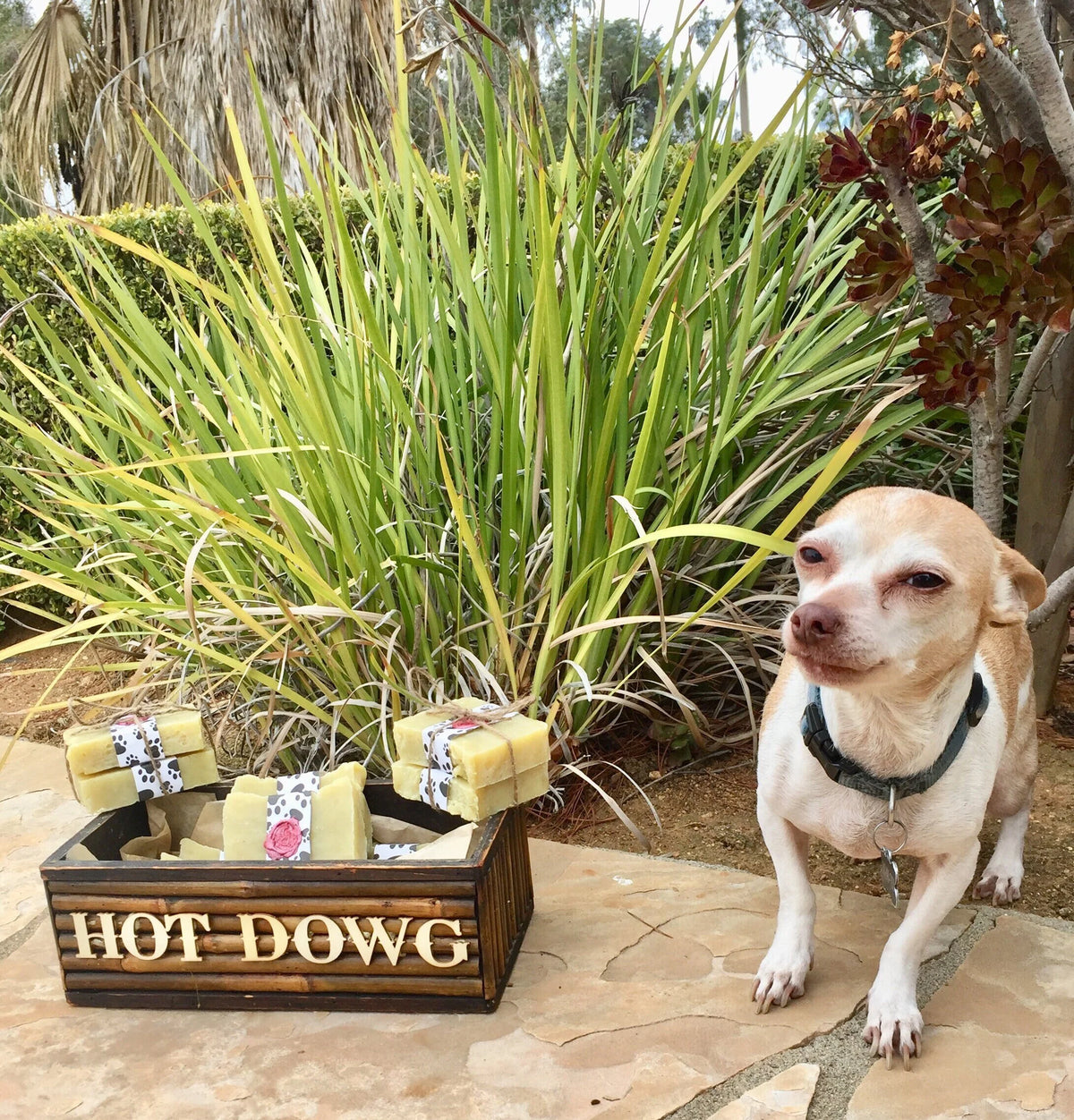 Haute Dowg natural dog shampoo bar, view 2